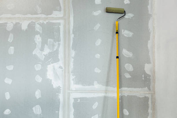 Best Drywall Removal and Disposal  in Fenton, MI